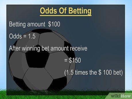 Evaluating Key Features for Optimal Betting Strategies