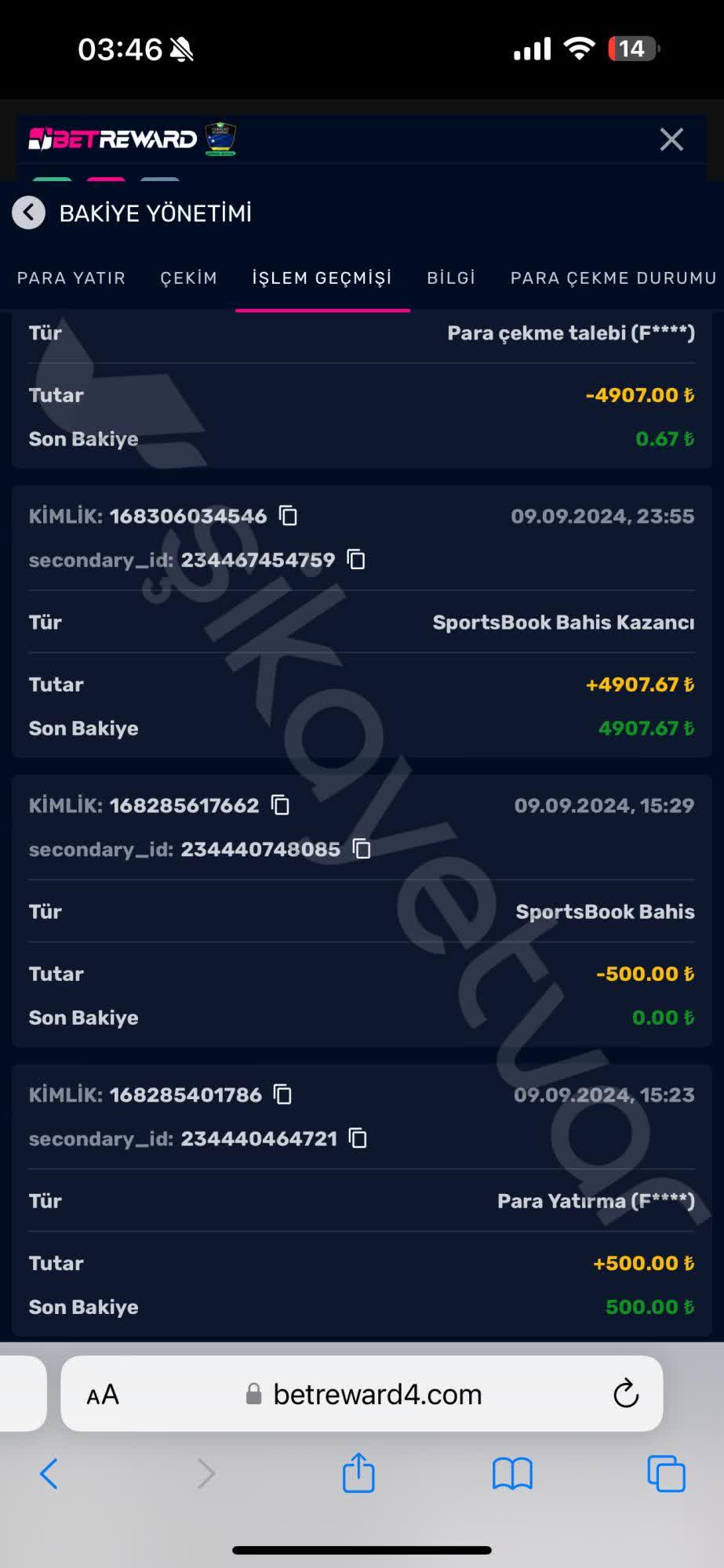 Giriş ‌Problemleri ‌ve Çözüm Yöntemleri